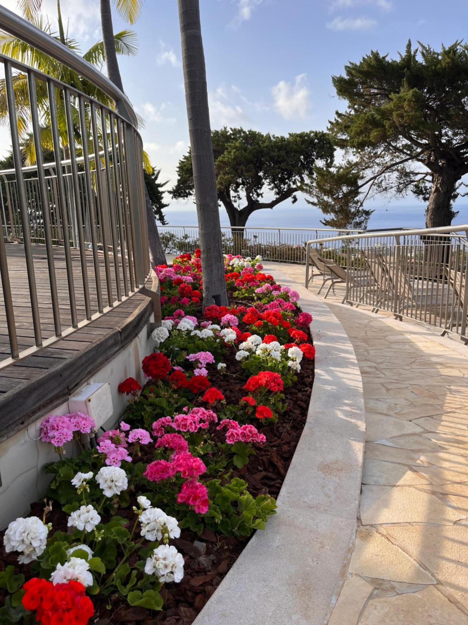 Отель Quinta Funchal Gardens - Adults Only Экстерьер фото
